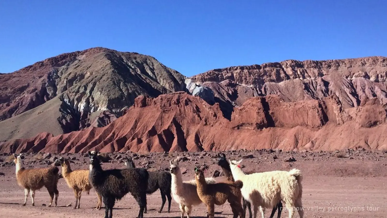 Rainbow Valley and Petroglyphs Tour — photo from the booking listing, Atacama Desert, San Pedro de Atacama