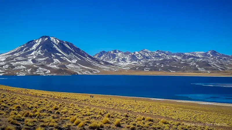Piedras Rojas and Altiplanic Lagoons Tour — photo from the booking listing, Atacama Desert, San Pedro de Atacama